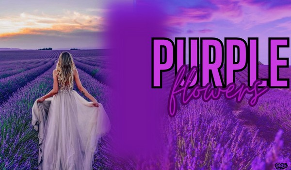 Purple flowers |Prologue|