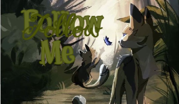 |+| Follow me ` #5|+|