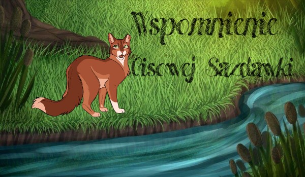 Wspomnienie Cisowej Sadzawki