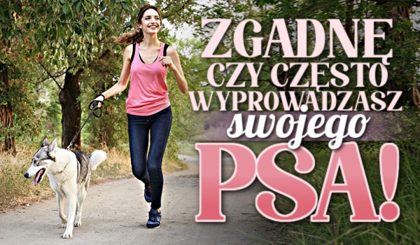Zgadnę, czy często wyprowadzasz swojego psa!