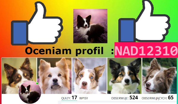 Oceniam profil : NAD12310