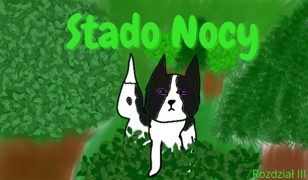 Stado Nocy #27, rozdział 3