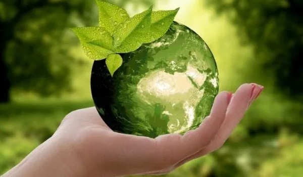 Quiz wiedzy ekologicznej