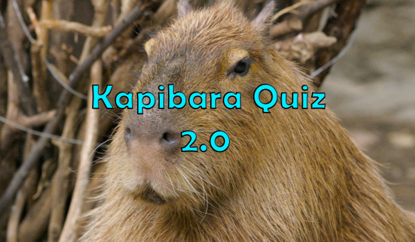 KAPIBARA QUIZ 2 (mega quiz)