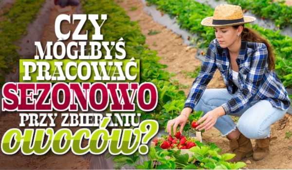 Czy mógłbyś pracować sezonowo przy zbieraniu owoców?