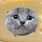 SzanowanySerWLodowie