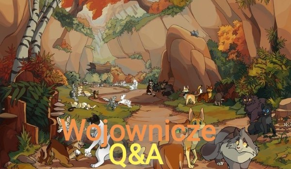 Wojownicze Q&A – Dzień 6