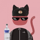obsranadupa2137