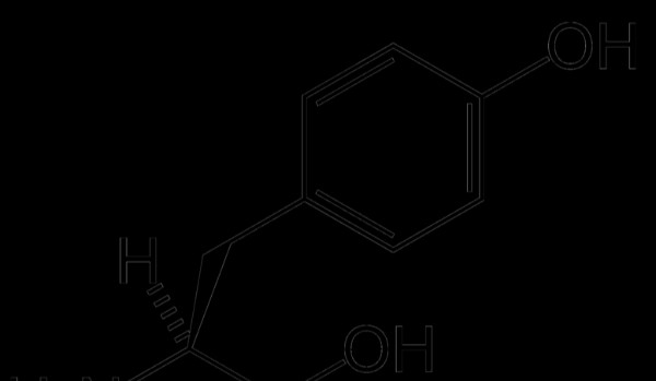 Jakim jesteś aminokwasem?