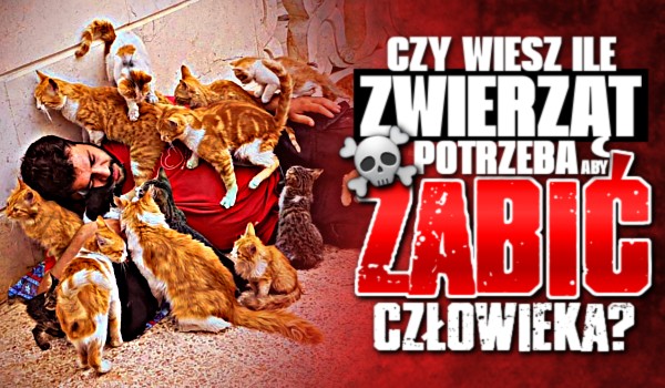Czy wiesz ile zwierząt potrzeba, aby zabić człowieka?