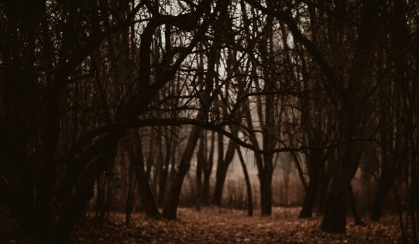 „Fire darkness” – Błysk szafiru – ROZDZIAŁ1