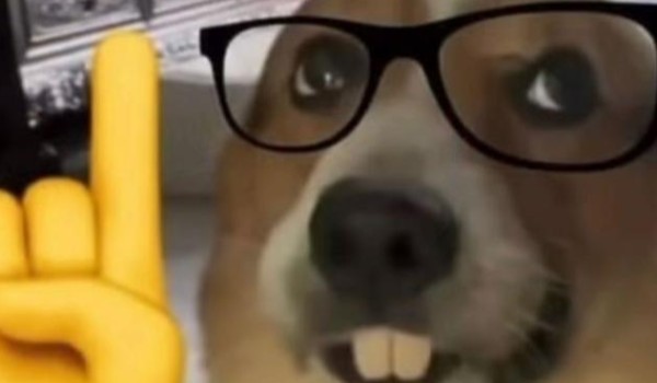 Jakim studentem jesteś?