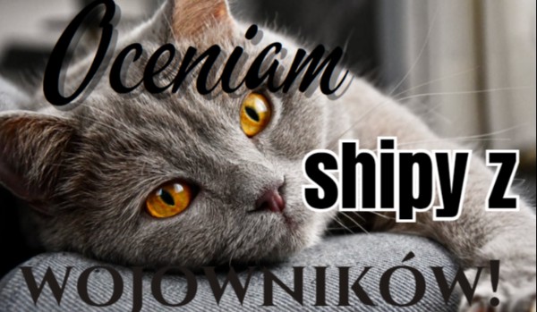 Oceniam shipy z wojowników! Part 4
