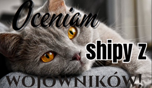 Oceniam shipy z wojowników! Part 3