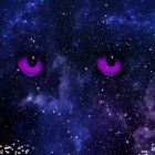 wilczesercewarriorscats