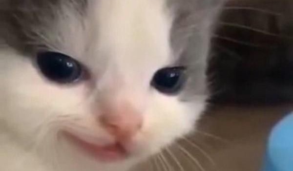 test wiedzy o mnie 1