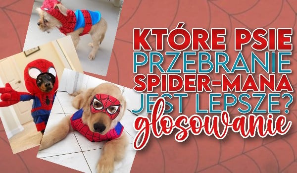 Głosowanie: Które psie przebranie Spider-Mana jest lepsze?