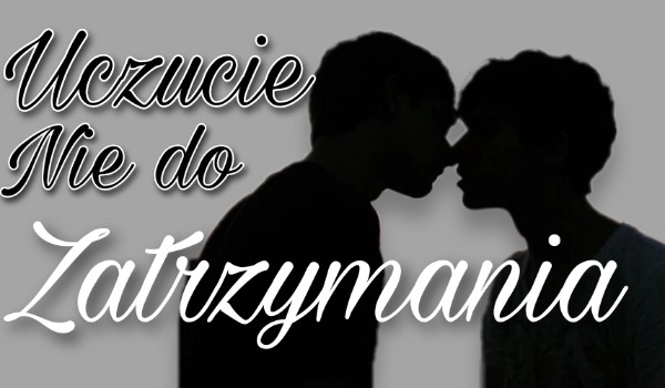 •Uczucie nie do zatrzymania• |part 1|