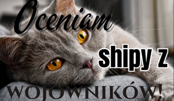 Oceniam shipy z Wojowników! Part 10