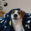 martyna383