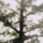 two