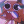 GumballzRzeszowaXD2137
