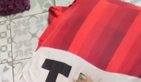 Wygrasz dostajesz nagrodę