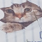 kitoj.fan
