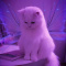 ostry_gostek