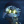 Fido_Filozof