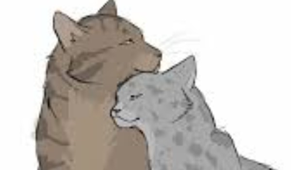 Cała prawda o Paprotkowej Chmurze!