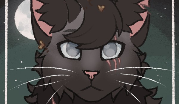 Opis Klanu księżyca