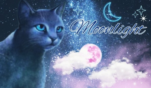 Moonlight|| Część 6