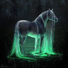 FP..Water.Horse