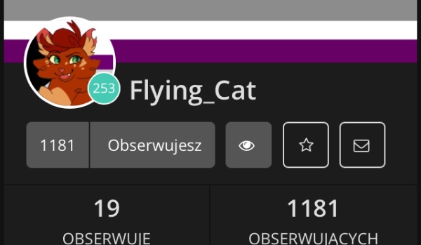 Jak sobie wyobrażam  @Flying_Cat