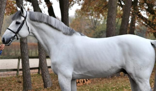 Księżniczka Targaryen cz.6