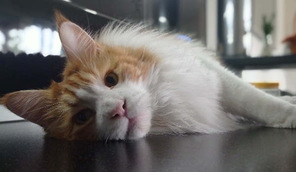 jak dobrze mnie znasz