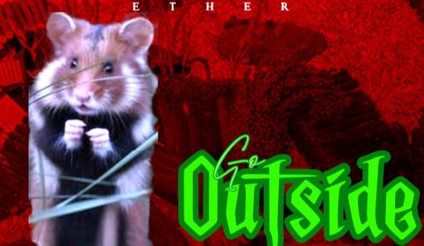 •Go outside• chapter one