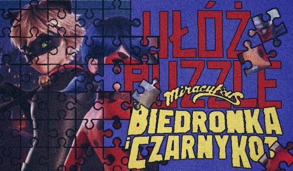 Ułóż puzzle! – Miraculum: Biedronka i Czarny Kot. Film