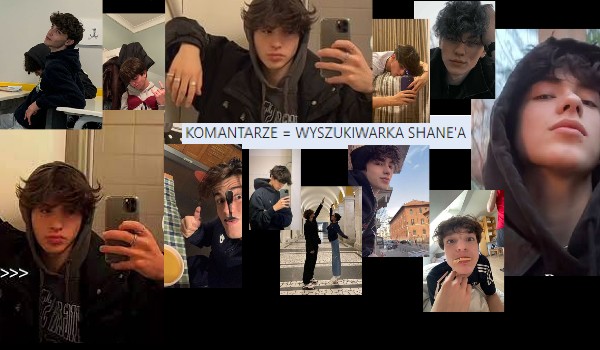 Komentarze = wyszukiwarka Shane’a
