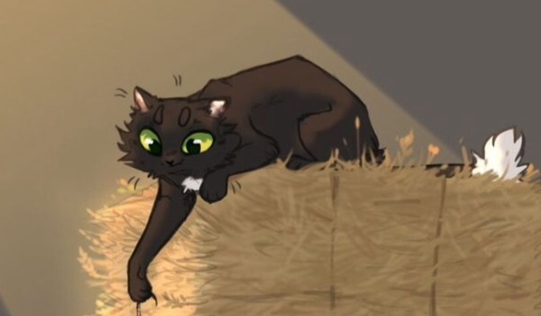 Konkurs na mini-wyniki