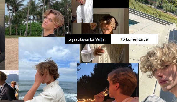 Komentarze = wyszukiwarka Willa