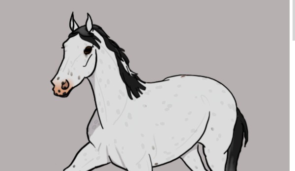 Jak wyobrażam sobie swoich obserwatorów jako konie! #6