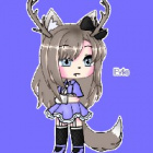 kiciek_1234