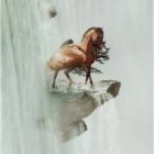Water.Horse