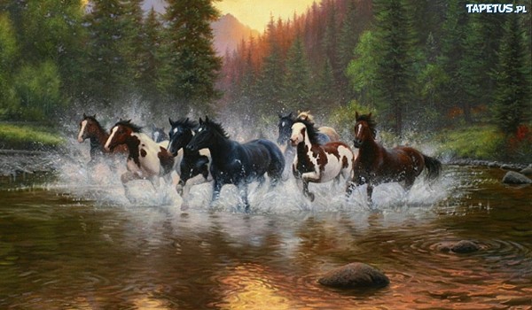 Zapisy na konkurs z okazji 5 obsów – reklama