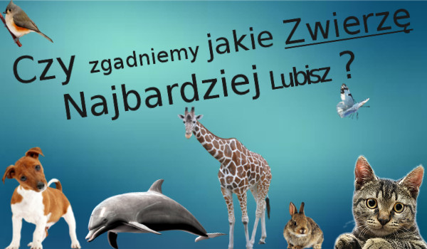 jak bardzo lubisz zwierzęta
