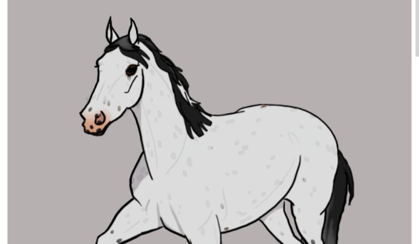 Jak wyobrażam sobie swoich obserwatorów jako konie! #9