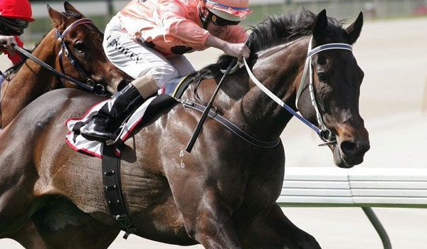 Niezwyciężona Lady Luna cz.2