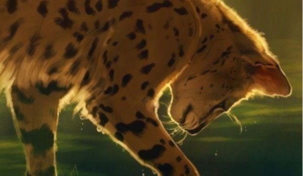 Jak wyobrażam sobie moich obserwujących •|Earthella_Edi|•